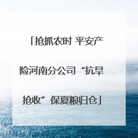 抢抓农时 平安产险河南分公司“抗旱抢收”保夏粮归仓