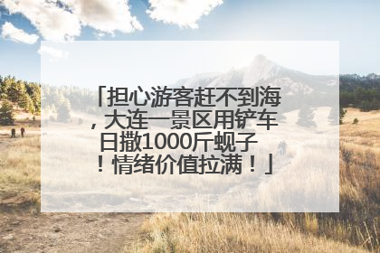 担心游客赶不到海，大连一景区用铲车日撒1000斤蚬子！情绪价值拉满！