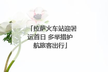 拉萨火车站迎暑运首日 多举措护航旅客出行
