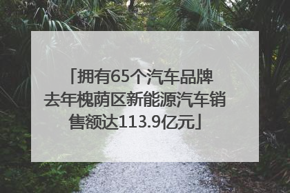 拥有65个汽车品牌 去年槐荫区新能源汽车销售额达113.9亿元