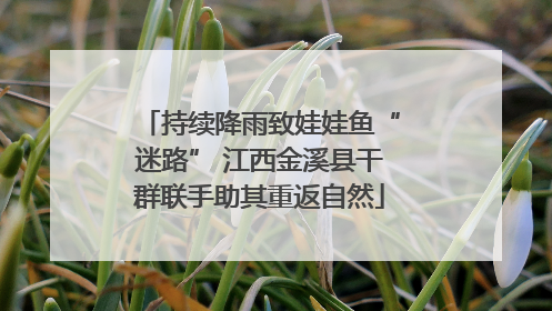 持续降雨致娃娃鱼“迷路” 江西金溪县干群联手助其重返自然
