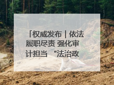 权威发布｜依法履职尽责 强化审计担当 “法治政府建设”主题系列新闻发布会市审计局专场召开