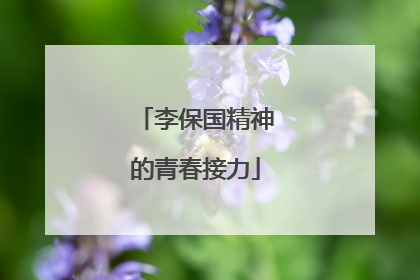 李保国精神的青春接力