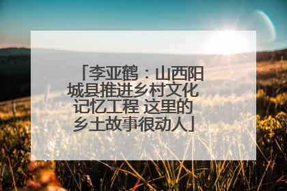 李亚鹤：山西阳城县推进乡村文化记忆工程 这里的乡土故事很动人