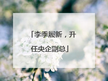 李季履新，升任央企副总