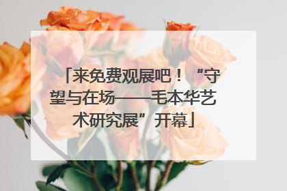 来免费观展吧！“守望与在场——毛本华艺术研究展”开幕