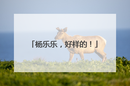 杨乐乐，好样的！