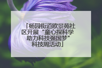 杨园街道欧景苑社区开展“童心探科学 助力科技强国梦”科技周活动