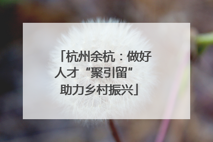 杭州余杭：做好人才“聚引留” 助力乡村振兴