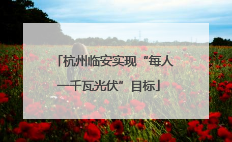 杭州临安实现“每人一千瓦光伏”目标