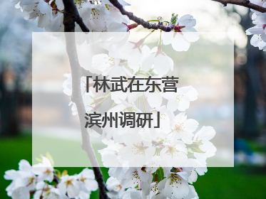 林武在东营滨州调研