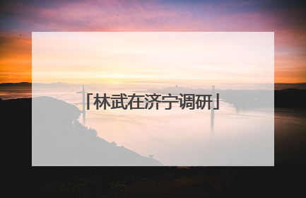 林武在济宁调研