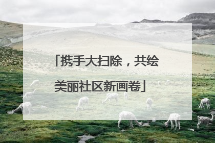 携手大扫除，共绘美丽社区新画卷
