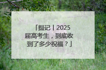 摄记丨2025届高考生，到底收到了多少祝福？