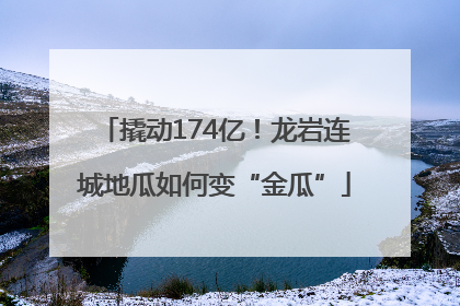 撬动174亿！龙岩连城地瓜如何变“金瓜”