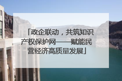 政企联动，共筑知识产权保护网——赋能民营经济高质量发展
