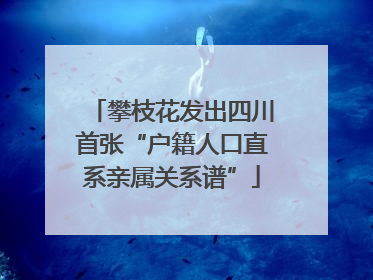 攀枝花发出四川首张“户籍人口直系亲属关系谱”