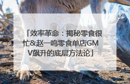 效率革命：揭秘零食很忙&赵一鸣零食单店GMV飙升的底层方法论