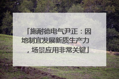 施耐德电气尹正：因地制宜发展新质生产力，场景应用非常关键