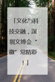 文化与科技交融，深圳文博会“徽”常精彩！