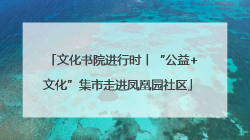文化书院进行时丨“公益+文化”集市走进凤凰园社区