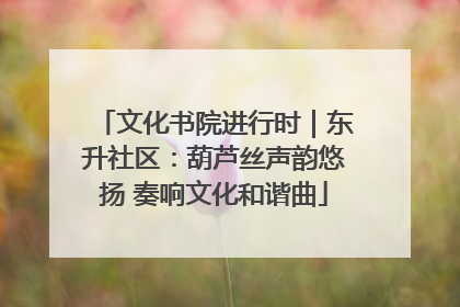 文化书院进行时｜东升社区：葫芦丝声韵悠扬 奏响文化和谐曲