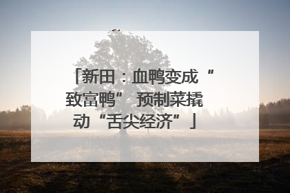 新田：血鸭变成“致富鸭” 预制菜撬动“舌尖经济”