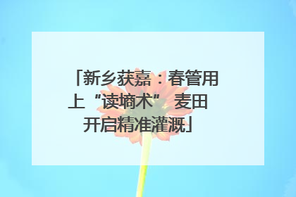 新乡获嘉：春管用上“读墒术” 麦田开启精准灌溉