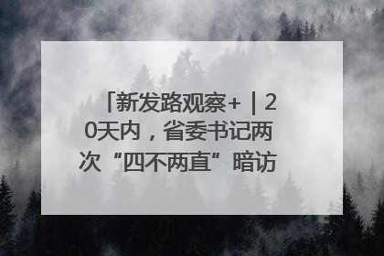 新发路观察+｜20天内，省委书记两次“四不两直”暗访，有何深意？