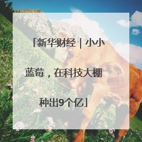 新华财经｜小小蓝莓，在科技大棚种出9个亿