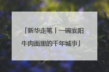 新华走笔丨一碗襄阳牛肉面里的千年城事