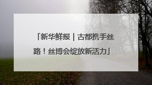 新华鲜报｜古都携手丝路！丝博会绽放新活力