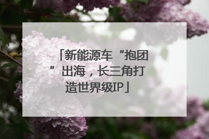 新能源车“抱团”出海，长三角打造世界级IP