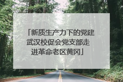 新质生产力下的党建 武汉校促会党支部走进革命老区黄冈