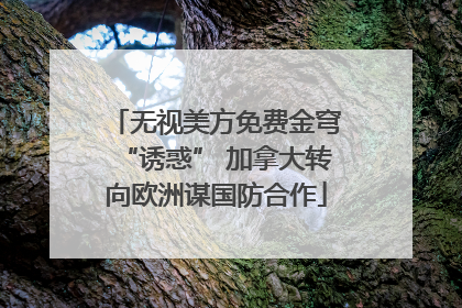 无视美方免费金穹“诱惑” 加拿大转向欧洲谋国防合作
