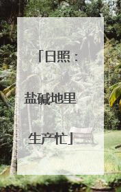 日照：盐碱地里生产忙