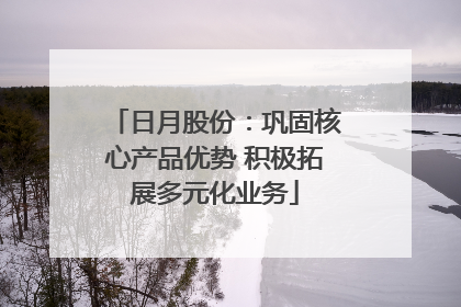 日月股份：巩固核心产品优势 积极拓展多元化业务