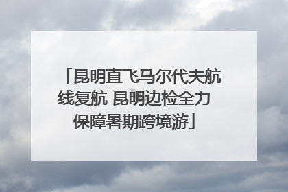 昆明直飞马尔代夫航线复航 昆明边检全力保障暑期跨境游