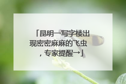 昆明一写字楼出现密密麻麻的飞虫，专家提醒→