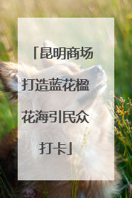 昆明商场打造蓝花楹花海引民众打卡