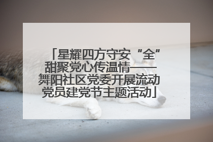 星耀四方守安“全” 甜聚党心传温情——舞阳社区党委开展流动党员建党节主题活动