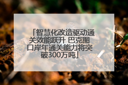 智慧化改造驱动通关效能跃升 巴克图口岸年通关能力将突破300万吨