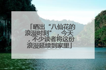 晒出“八仙花的浪漫时刻”，今天，不少读者将这份浪漫延续到家里