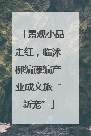 景观小品走红，临沭柳编藤编产业成文旅“新宠”