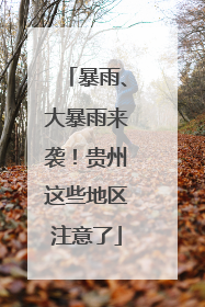 暴雨、大暴雨来袭！贵州这些地区注意了