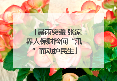 暴雨突袭 张家界人保财险闻“汛”而动护民生