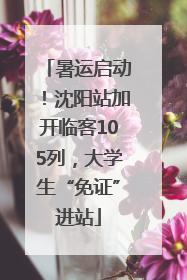 暑运启动！沈阳站加开临客105列，大学生“免证”进站