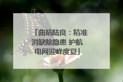 曲靖陆良：精准消缺除隐患 护航电网迎峰度夏
