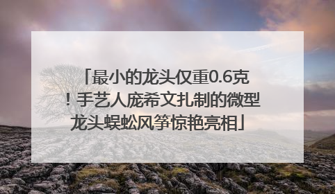 最小的龙头仅重0.6克！手艺人庞希文扎制的微型龙头蜈蚣风筝惊艳亮相
