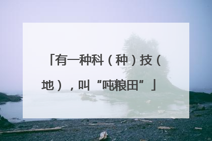 有一种科（种）技（地），叫“吨粮田”